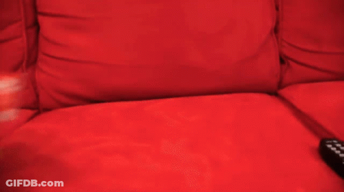 A Person Is Holding A Stuffed Animal On A Red Couch Next To A Remote Control GIF