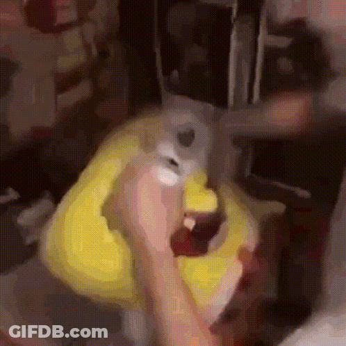 A Person Is Holding A Stuffed Animal That Looks Like A Spongebob Character . GIF