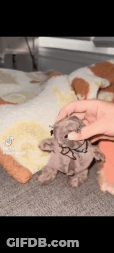 A Person Is Holding A Stuffed Animal That Looks Like A Teddy Bear . GIF