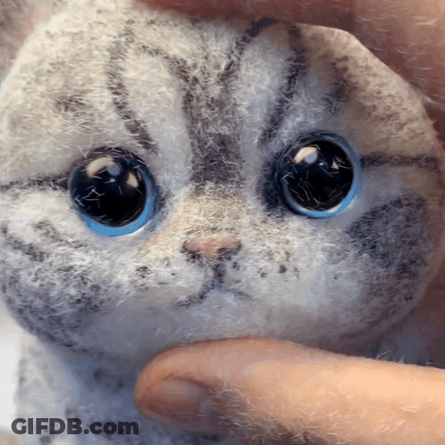 A Person Is Holding A Stuffed Cat With Blue Eyes GIF