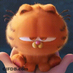 A Person Is Holding A Stuffed Garfield Cat In Their Hands . GIF
