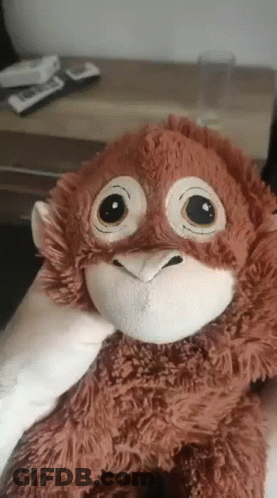 A Person Is Holding A Stuffed Monkey With Big Eyes In Their Hands . GIF