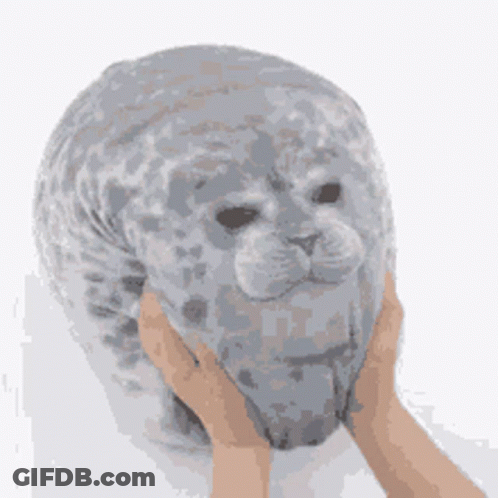 A Person Is Holding A Stuffed Seal With Their Hands On Its Head . GIF