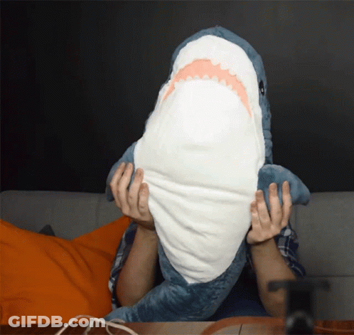 A Person Is Holding A Stuffed Shark With Their Face Covered GIF