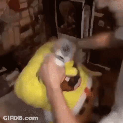 A Person Is Holding A Stuffed Spongebob Doll In Their Hands . GIF