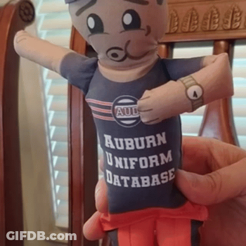 A Person Is Holding A Stuffed Toy That Has Auburn Uniform Database On It GIF