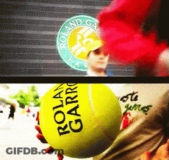 A Person Is Holding A Tennis Ball That Says Roland Garros GIF