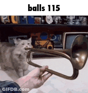 A Person Is Holding A Trumpet In Front Of A Cat With The Words Balls 115 Written On The Bottom GIF