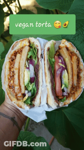 A Person Is Holding A Vegan Torta Sandwich In Front Of A Plant GIF