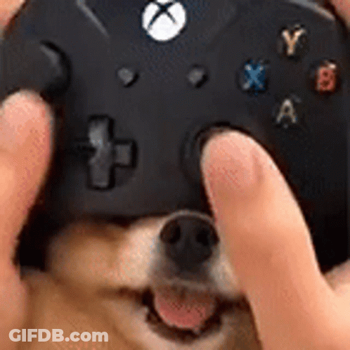 A Person Is Holding A Video Game Controller Over A Dog 'S Head . GIF