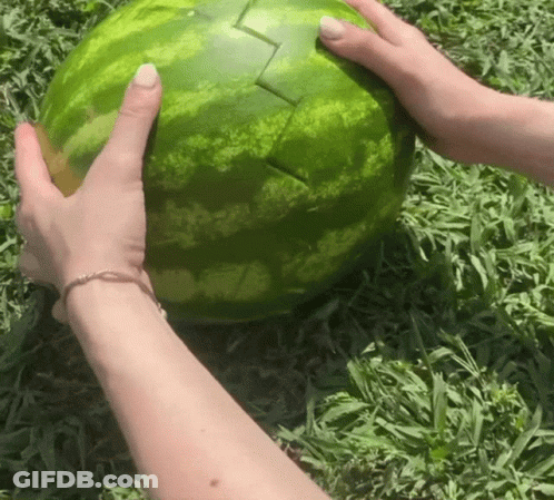 A Person Is Holding A Watermelon In Their Hands With The Letter L Carved Into It GIF