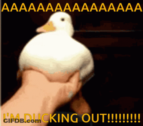 A Person Is Holding A White Duck With The Words I 'M Ducking Out Written Below It GIF