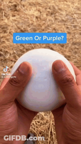 A Person Is Holding A White Egg In Their Hands And Asking If It Is Green Or Purple . GIF