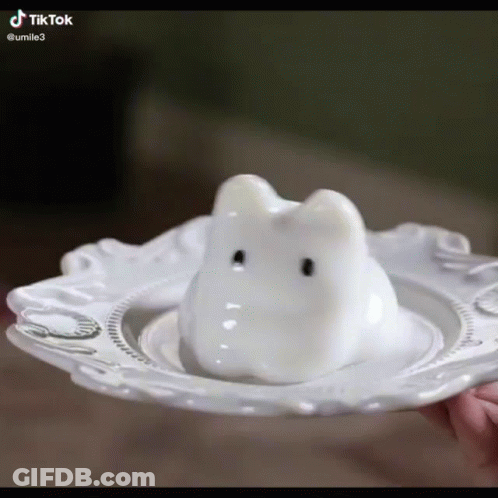 A Person Is Holding A White Plate With A White Bunny On It . GIF