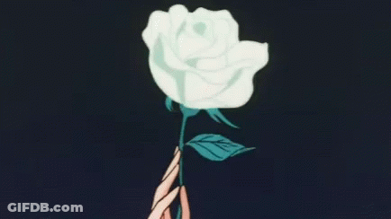 A Person Is Holding A White Rose With Green Leaves . GIF