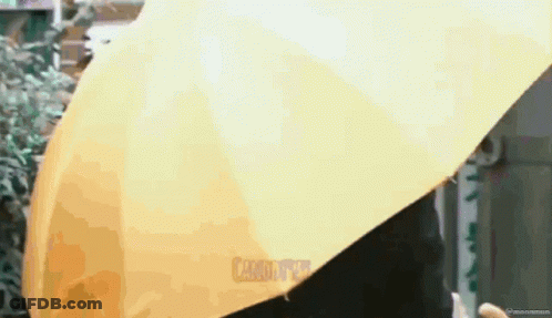 A Person Is Holding A Yellow Umbrella With The Word Casaday On It GIF