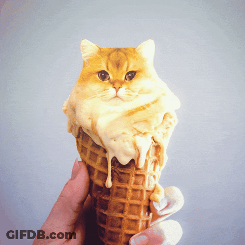 A Person Is Holding An Ice Cream Cone With A Cat On It GIF