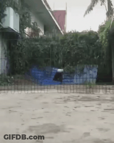A Person Is Jumping Over A Tennis Net In Front Of A House GIF
