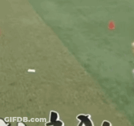 A Person Is Kneeling Down On The Grass While Playing A Game Of Cricket . GIF