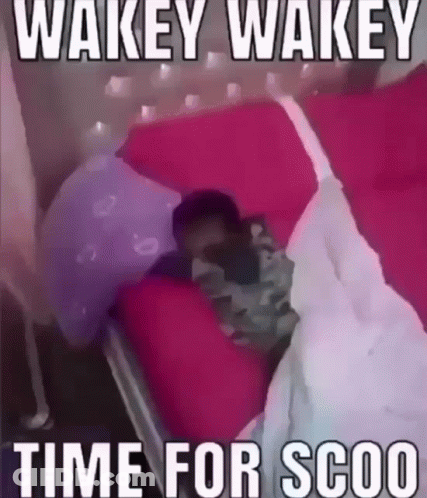 A Person Is Laying In A Bed With The Words Wakey Wakey Time For Scoo On The Bottom GIF