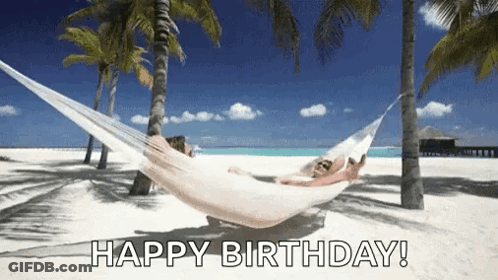 A Person Is Laying In A Hammock On A Beach With Palm Trees . GIF