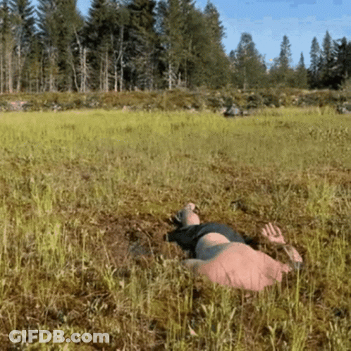 A Person Is Laying In The Grass In A Field GIF