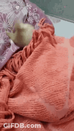 A Person Is Laying On A Bed With A Blanket And A Pillow . GIF