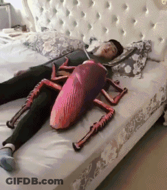 A Person Is Laying On A Bed With A Cockroach Pillow On Their Stomach . GIF