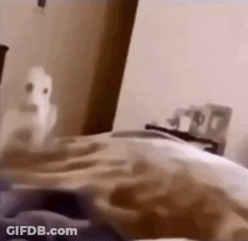 A Person Is Laying On A Bed With A Ghost Coming Out Of The Blanket . GIF