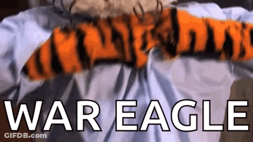 A Person Is Laying On A Bed With A Tiger Blanket And The Words War Eagle Written In White Letters . GIF