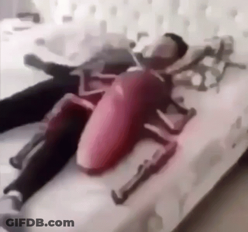 A Person Is Laying On A Bed With A Toy Cockroach On Their Back . GIF