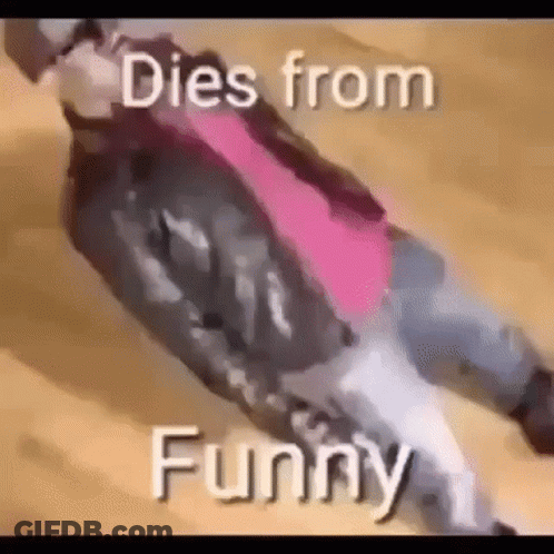 A Person Is Laying On The Ground With The Words `` Dies From Funny '' Written Next To Them . GIF