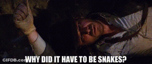 A Person Is Laying On The Ground With The Words Why Did It Have To Be Snakes On The Bottom GIF