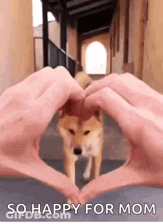 A Person Is Making A Heart Shape With Their Hands And A Dog Is Behind Them . GIF