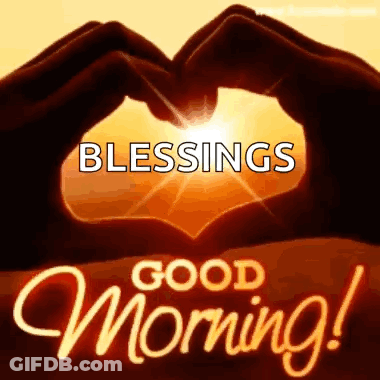 Person Making Heart With Hands Sun Blessings GIF