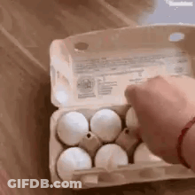 A Person Is Opening A Carton Of Eggs On A Table . GIF