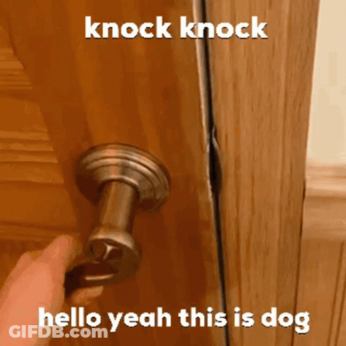 A Person Is Opening A Door With A Knock Knock Hello Yeah This Is Dog . GIF