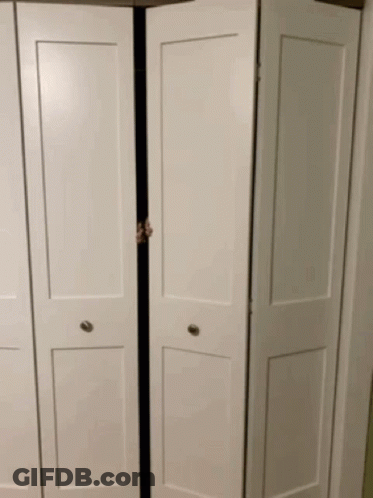 A Person Is Peeking Out From Behind A Pair Of Folding Doors . GIF
