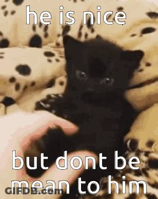 A Person Is Petting A Black Kitten On A Bed With A Caption That Says He Is Nice But Dont Be Mean To Him GIF