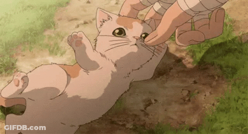 A Person Is Petting A Cat That Is Laying On Its Back In The Grass . GIF