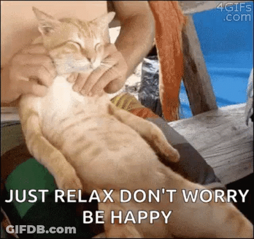 A Person Is Petting A Cat With The Words `` Just Relax Don T Worry Be Happy '' Written On It . GIF