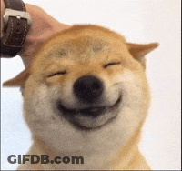 A Person Is Petting A Dog 'S Head And It Is Smiling With Its Eyes Closed . GIF