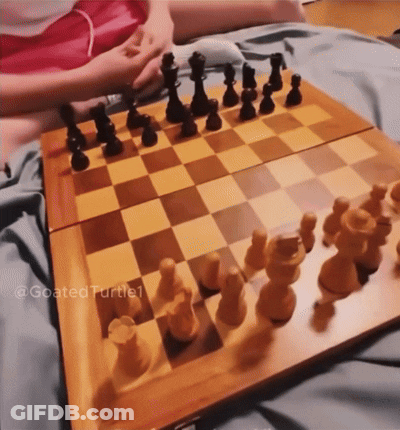 A Person Is Playing A Game Of Chess With A Goated Turtle1 Watermark GIF
