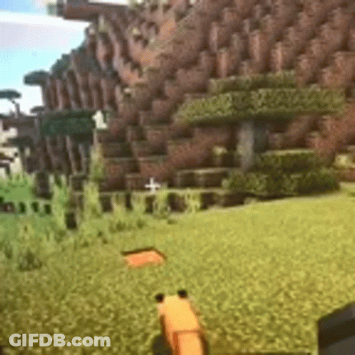 A Person Is Playing A Video Game In A Field With A Fox . GIF