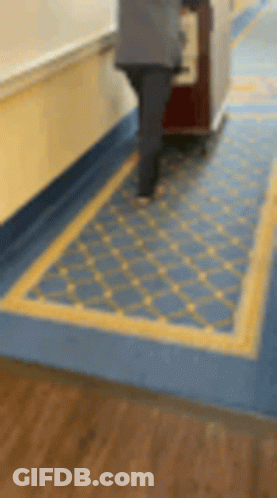 A Person Is Pushing A Cart Down A Hallway With A Blue And Yellow Rug GIF