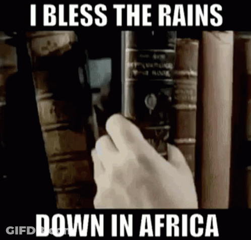 A Person Is Reaching For A Book In A Library With A Caption That Says I Bless The Rains Down In Africa . GIF