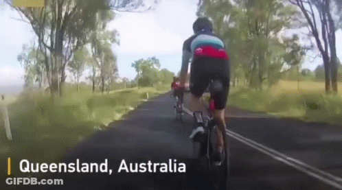 A Person Is Riding A Bike Down A Country Road In Queensland Australia GIF