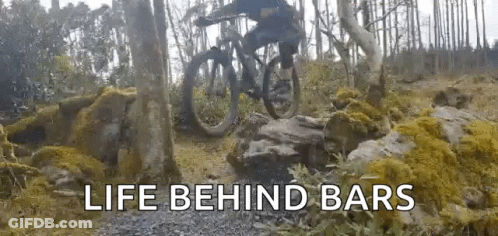 A Person Is Riding A Bike Down A Rocky Trail In The Woods . GIF