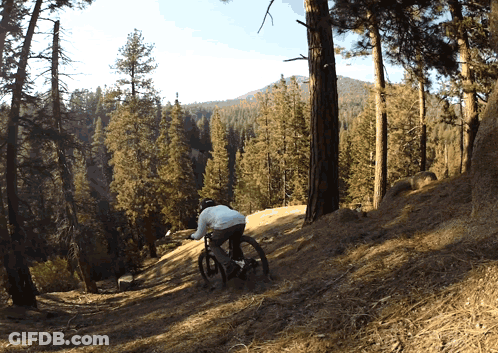 A Person Is Riding A Bike On A Trail In The Woods GIF