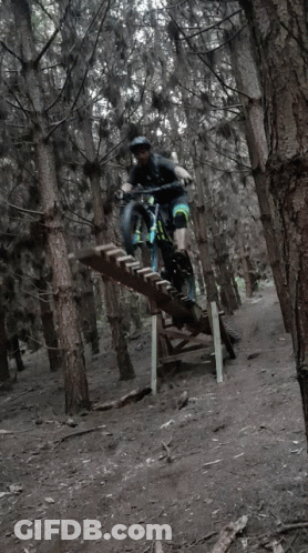 A Person Is Riding A Bike On A Wooden Ramp In The Woods GIF